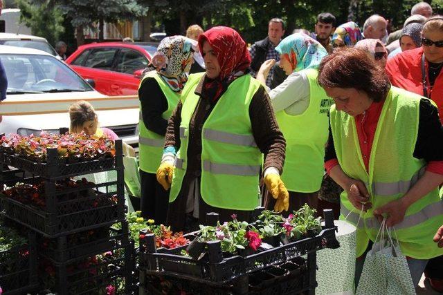 Artvin Çiçek Açacak