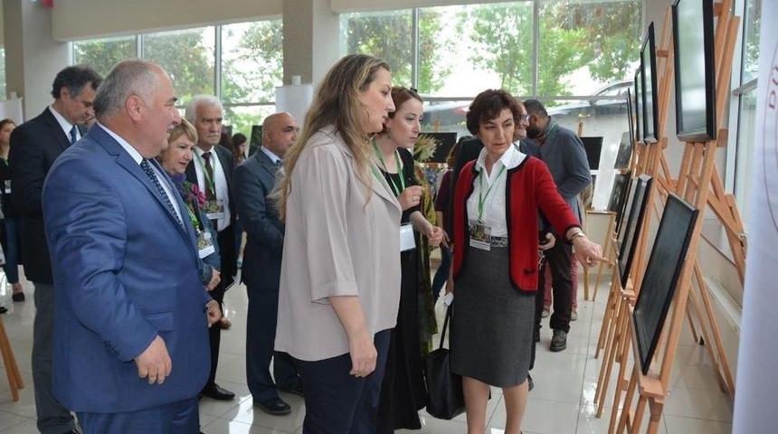 Festival &Ccedil;alıştayla Başladı