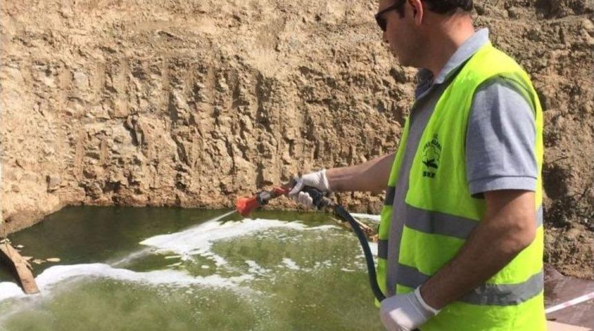 S&ouml;ke Belediyesi Sivrisinek M&uuml;cadelesinde Vatandaştan Destek Bekliyor