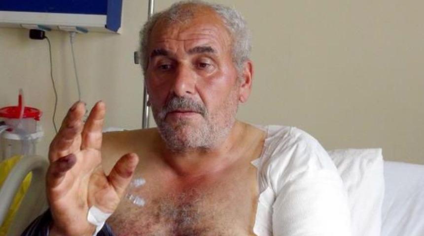 Ayı Saldırısında Yaralanan K&ouml;yl&uuml;: Ayının Dilini Tutup Kurtuldum