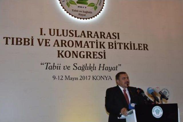 Bakan Eroğlu: Tıbbi Ve Aromatik Bitkide 600 Milyon Dolarlık Ihracat Yapıyoruz