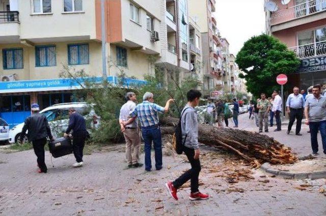 Şiddetli Lodosta Devrilen Ağaç 2 Otomobilin Üstüne Düştü