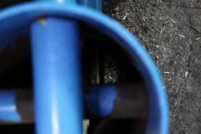 Spor Aletine Yuva Yapan Kuşlar İtfaiyeyi Harekete Geçirdi 1