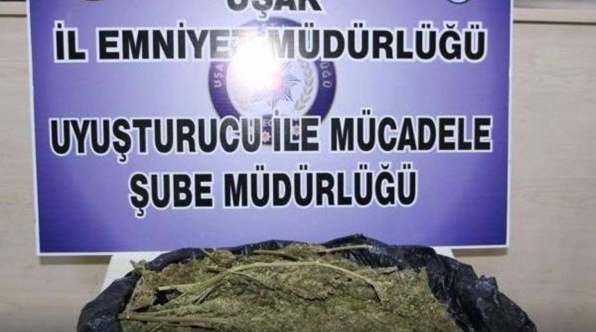 Uşak'ta 4 Ayda 103 Uyuşturucu Operasyonu Ger&ccedil;ekleştirildi