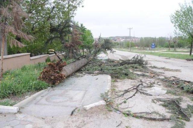 Eskişehir'de Fırtına Çatıları Uçurdu, Ağaçları Devirdi