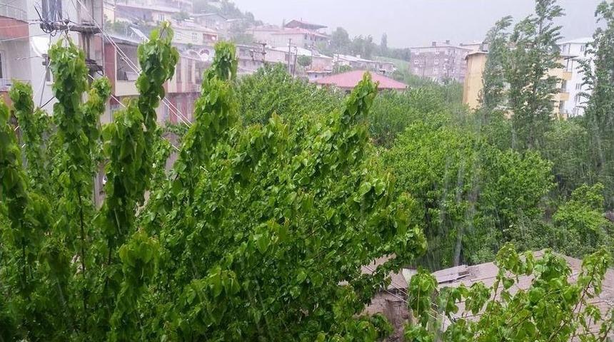 Kulp&rsquo;u Dolu Vurdu