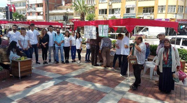 Üniversiteliler Nazilli’de Sağlık Taraması Yaptı