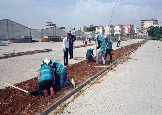 12 Kişi Kamu Hizmeti Cezasını Ağaç Dikerek Ödüyor