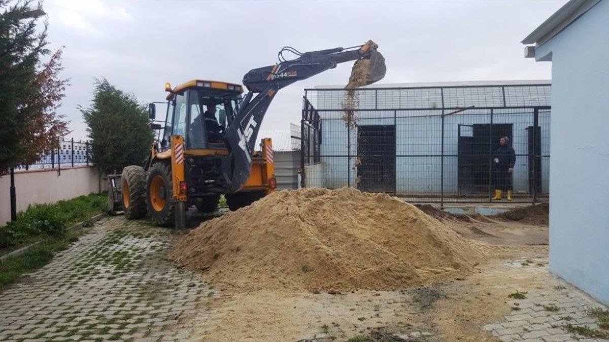 S&uuml;leymanpaşa Belediyesi Sokak Hayvanları Ge&ccedil;ici Bakımevi&rsquo;nde Bahar Temizliği
