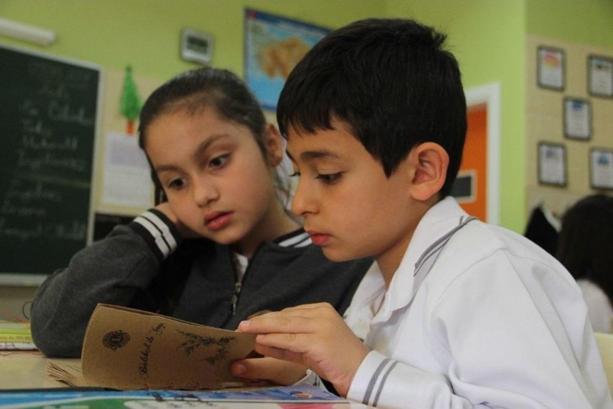 Bu Kitap Okunduktan Sonra Ağaca D&ouml;n&uuml;ş&uuml;yor
