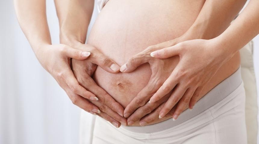 Hamilelikte 24. hafta