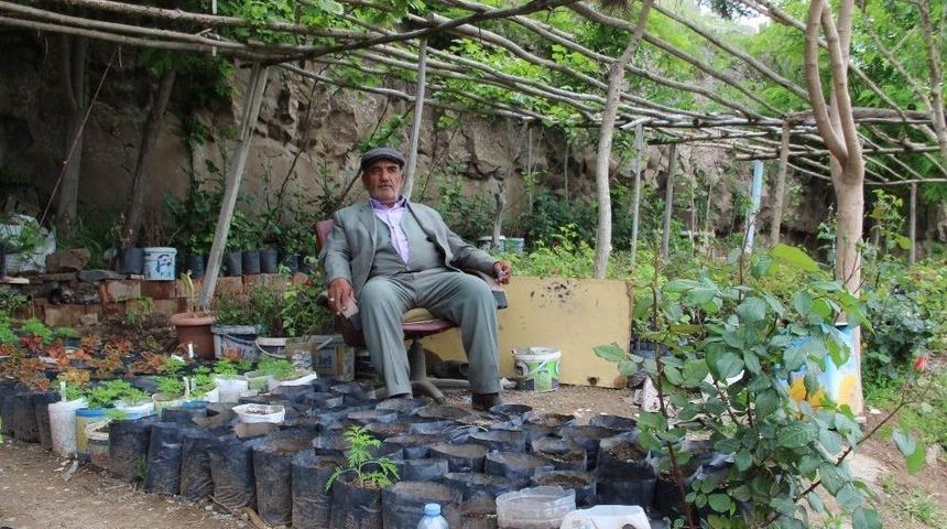 Hobisi Mesleği Oldu