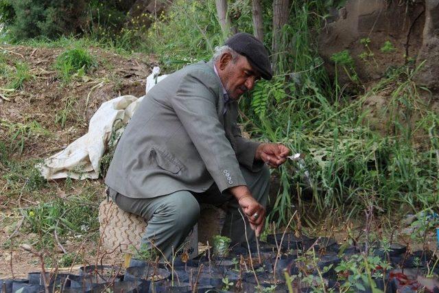 Hobisi Mesleği Oldu