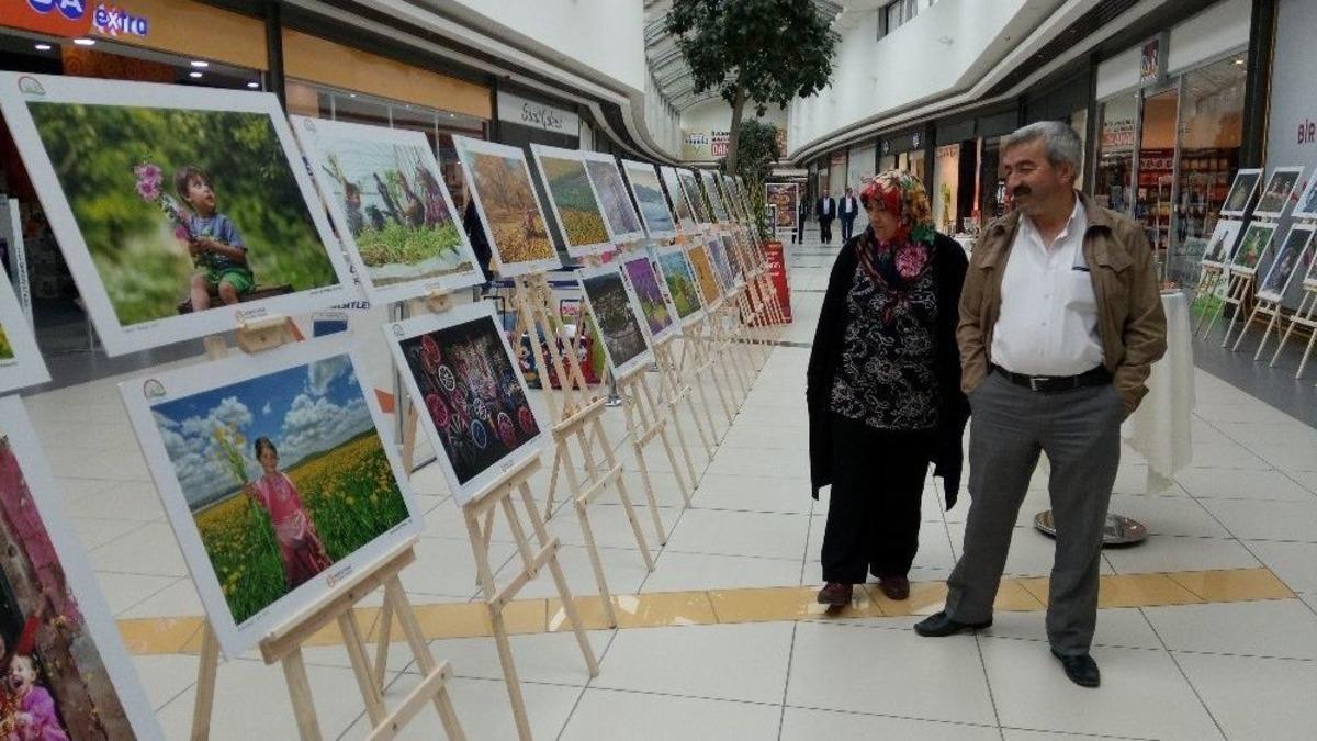 K&uuml;tahya&rsquo;da &rsquo;tarım Ve İnsan&rsquo; Konulu Fotoğraf Sergisi