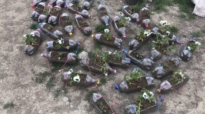 Edremit&rsquo;te &Ccedil;i&ccedil;ek Fideleri Dikimi