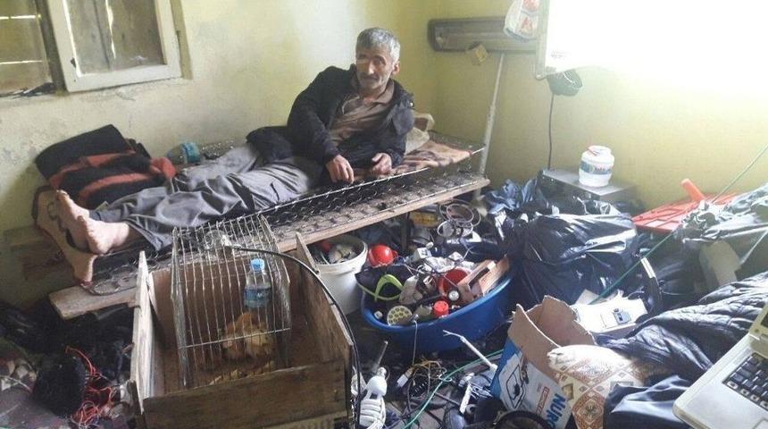 Çöp Evde Yaşamaya Çalışıyor