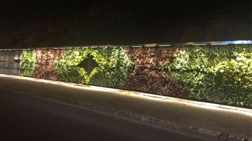 Mardin&rsquo;deki &lsquo;dikey Bah&ccedil;e&rsquo; Işıklandırıldı