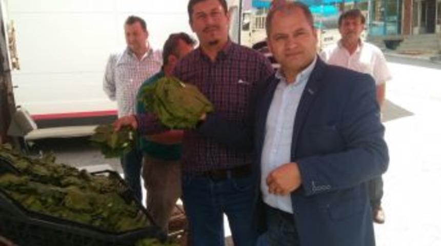 Hisarcık&rsquo;ta Asma Yaprağına Talep Arttı