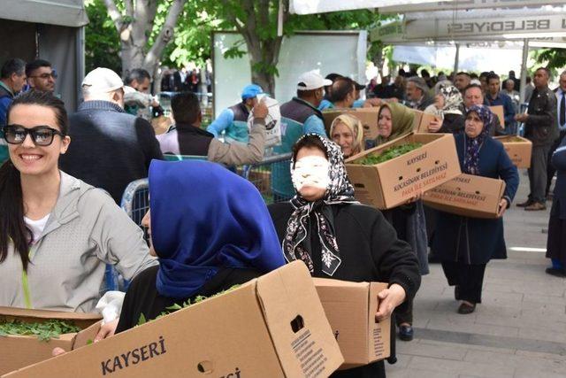 Domates Fiyatları Arttı, Vatandaşlar Belediyenin Dağıttığı Domates Fidelerine Akın Etti