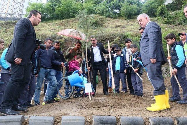 Çocuklar, 15 Temmuz Şehitleri İçin 249 Fidan Dikti