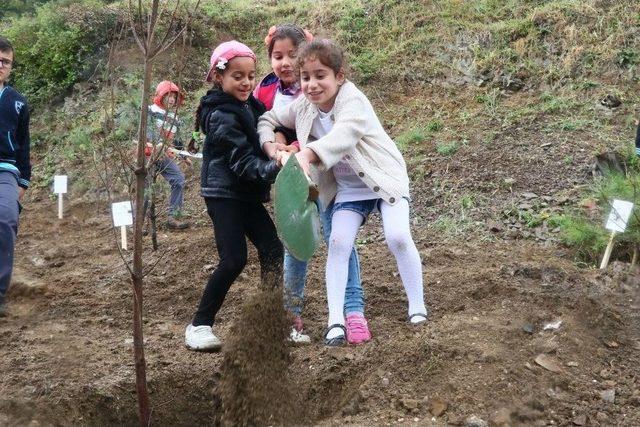 Çocuklar, 15 Temmuz Şehitleri İçin 249 Fidan Dikti