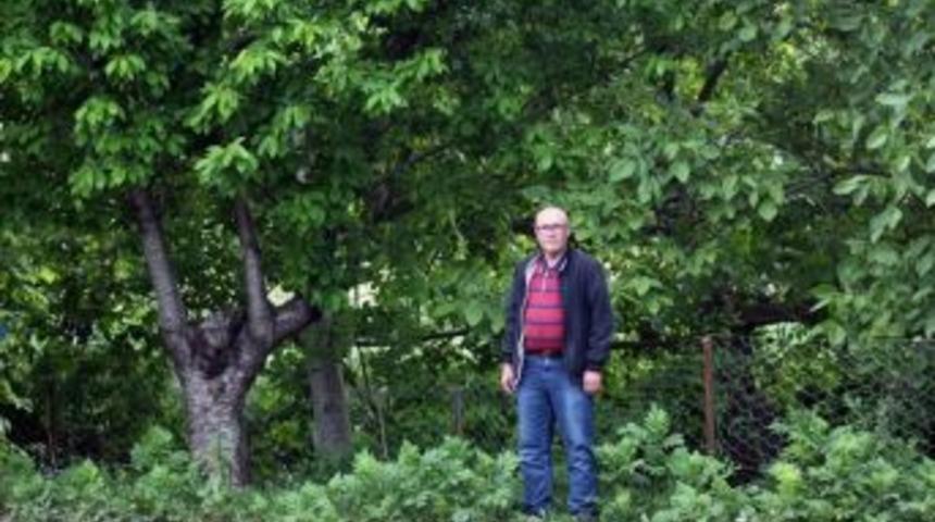 &Uuml;niversiteden Organik Tarım &Ccedil;ağrısı