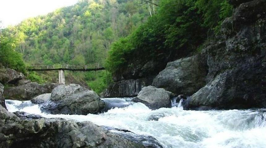 Ordu&rsquo;nun Derelerinde "japon Sazanı" Tehlikesi