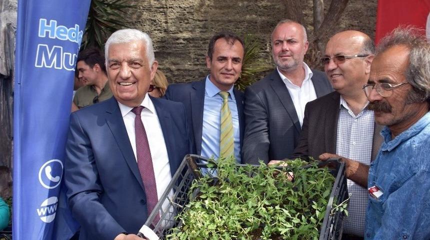 Muğla&rsquo;da Yerel Tohum G&uuml;&ccedil;lendiriliyor