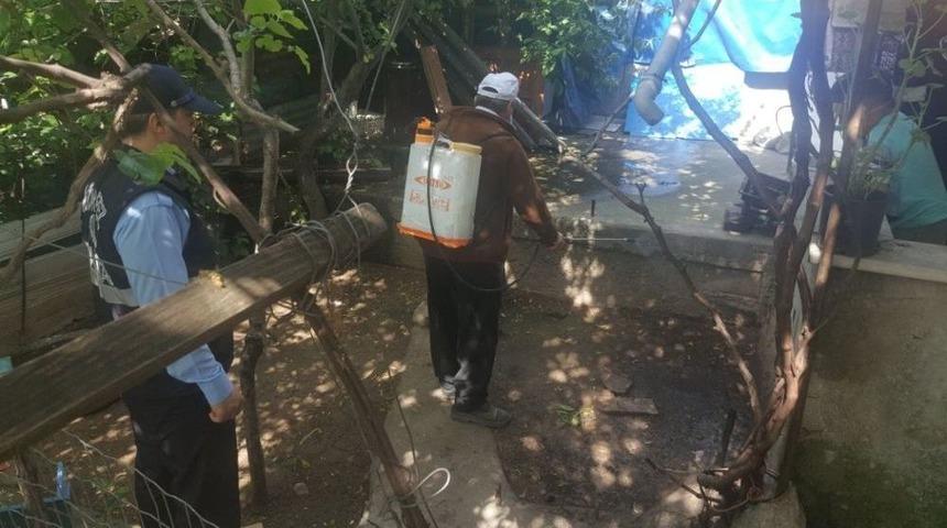 Kağıt Toplayıcılarına Zabıtadan Ge&ccedil;it Yok