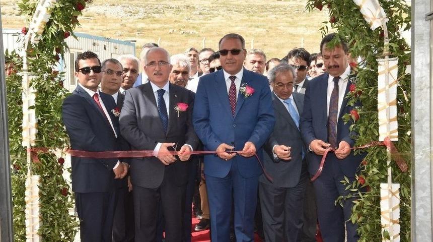 Karag&uuml;l S&uuml;s Bitkileri Sekt&ouml;r&uuml;ne Kazandırılıyor