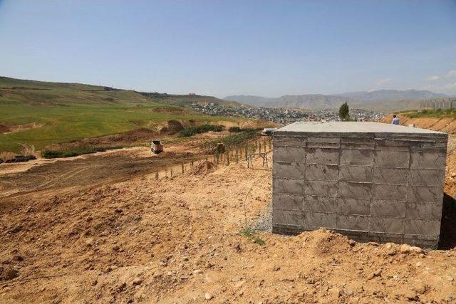 Cizre Belediyesi 60 D&ouml;n&uuml;ml&uuml;k Yeşil Alan İ&ccedil;in 100 Tonluk Su Deposu Yapıyor 1