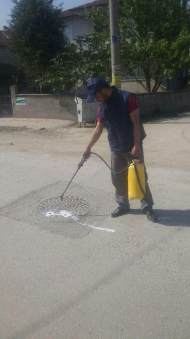 Serdivan Belediyesi Ekipleri Sineksiz Bir Yaz İ&ccedil;in G&ouml;rev Başında 1