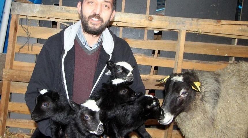 &Ccedil;obanlar Bursa&rsquo;da Buluşacak