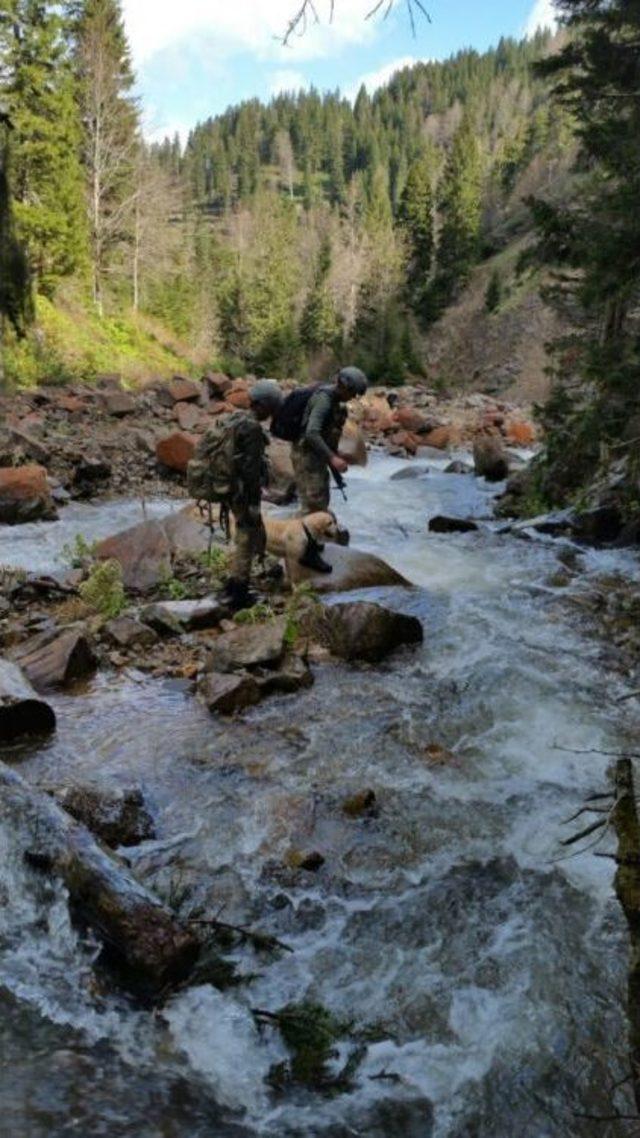 Jöh Ve Pöh Timleri Karadeniz’de Teröristlere Göz Açtırmıyor