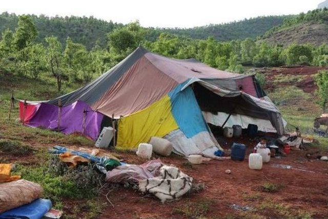 Göçerlere Yayla Yolunda 'güvenlik' Engeli