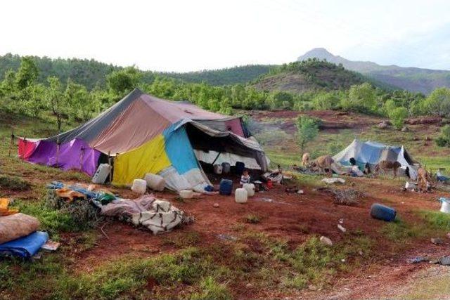 Göçerlere Yayla Yolunda 'güvenlik' Engeli