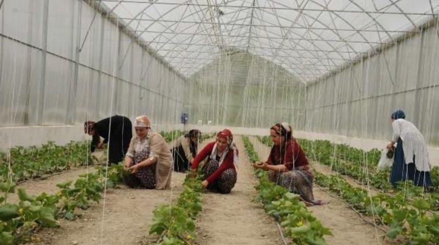 Hakkari'nin Seracı Kadınları