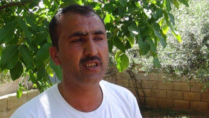 (özel Haber) Koyunun Kulağında İkinci Bir Ağız Olduğu Ortaya Çıktı G1