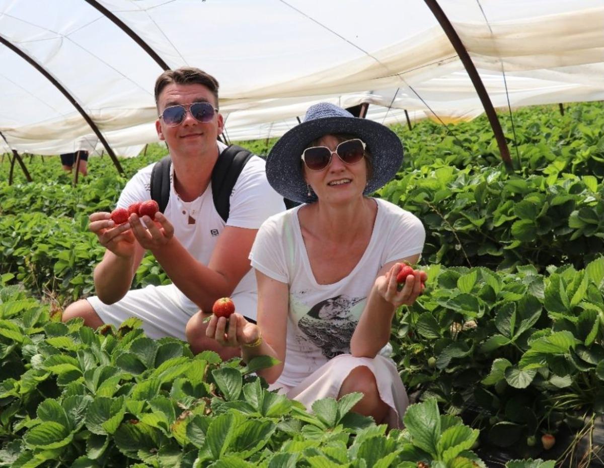 &Ccedil;ilek Seraları Ve Meyve Bah&ccedil;eleri Turistlere A&ccedil;ıldı