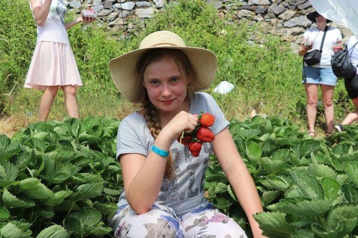 Çilek Seraları Ve Meyve Bahçeleri Turistlere Açıldı G1