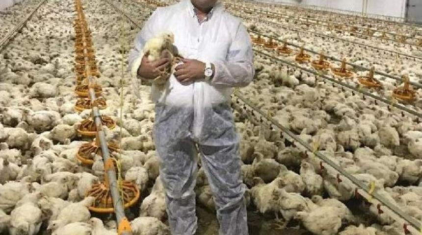 Kanatlı Eti &Uuml;reticilerinden Hormon Iddialarına Festivalli Cevap