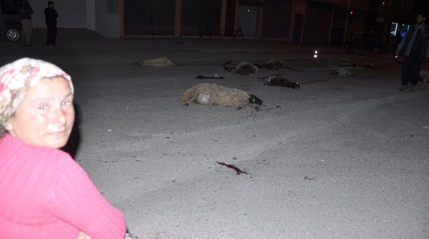 Kadirli&rsquo;de Otomobil S&uuml;r&uuml;ye Daldı, 25 K&uuml;&ccedil;&uuml;kbaş Hayvan Telef Oldu