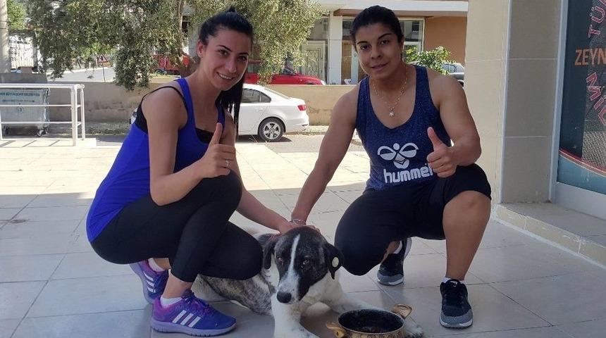 (&ouml;zel Haber) Sokak K&ouml;peklerini Besleyen Sporcu Kadınlara Darp İddiası