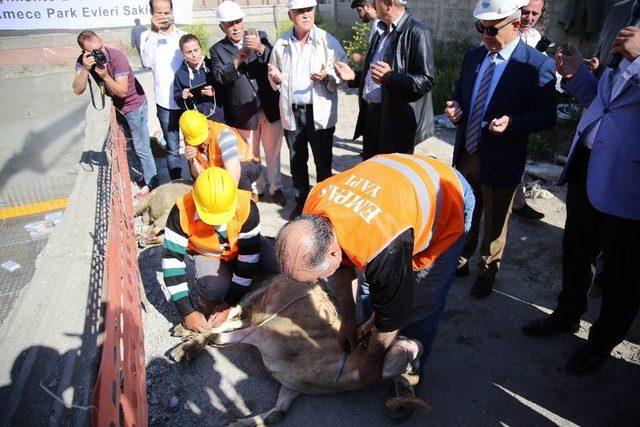 Başkan Akgün: “kentsel Dönüşüm’de Herkes Elini Taşın Altına Koysun”