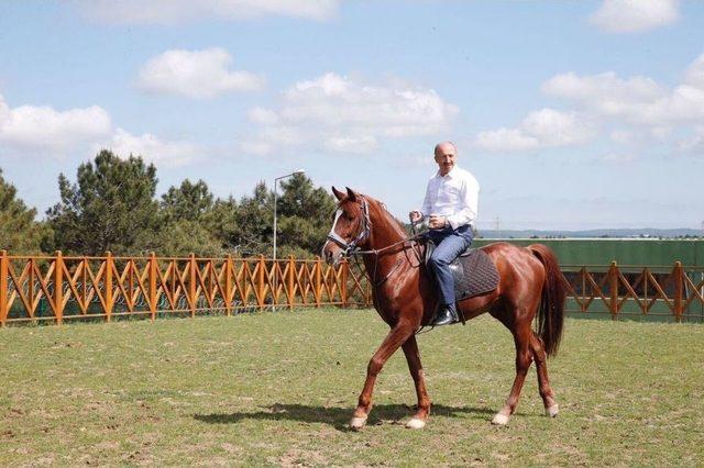 Sultangazi Belediyesi&rsquo;nden &Ccedil;ocuklara &Uuml;cretsiz At Binme İmkanı 1