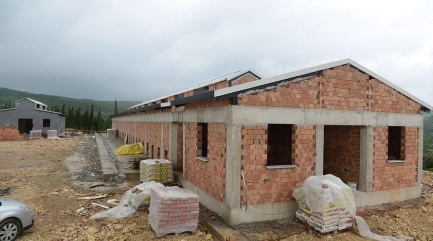 Sahipsiz Hayvanlar Bakım Ve Tedavi Merkezinde Sona Doğru