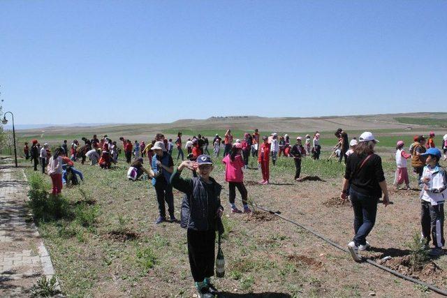 Öğrenciler 200 Fidanı Toprakla Buluşturdu