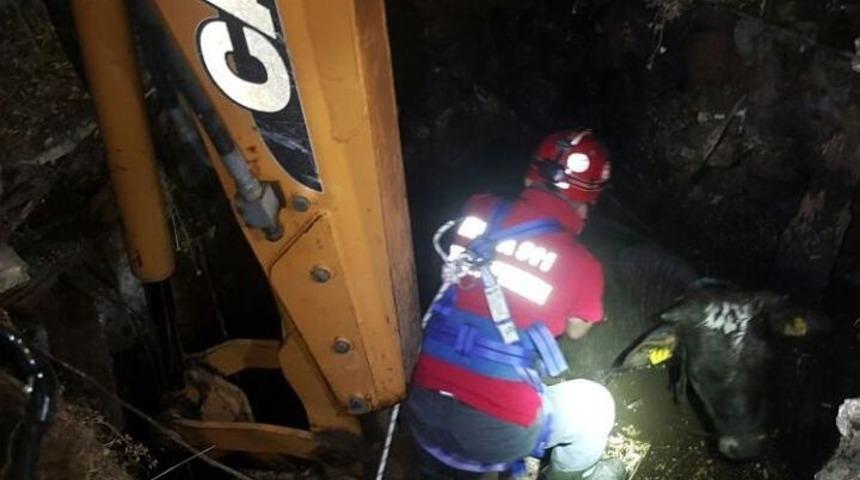 İtfaiye Ekipleri Kuyuya D&uuml;şen İnek İ&ccedil;in Seferber Oldular