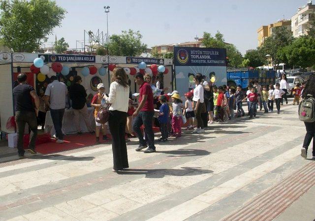 Anaokulları Bahar Şenliğinde Buluştu