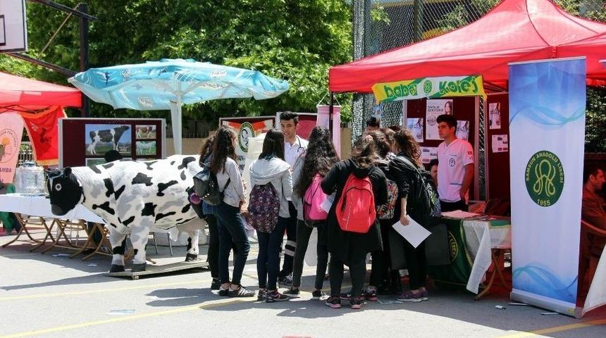 Liseler Kendini Tanıttı